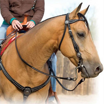 Weaver Leather Back in Black Browband Headstall